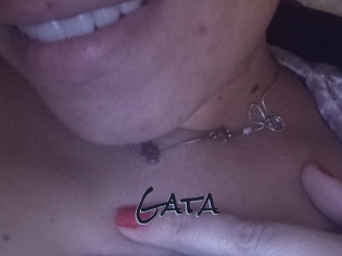 Gata