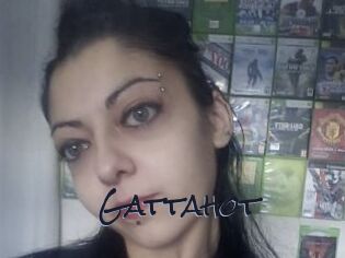 Gattahot