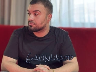 gavinwood Liquisexxx