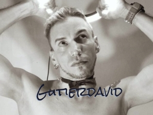 Gutierdavid