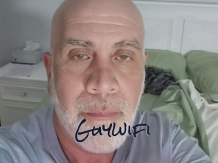 guywifi Liquisexxx