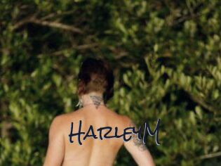 HarleyM