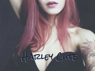 Harley_Cute