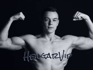 HeilgarVip