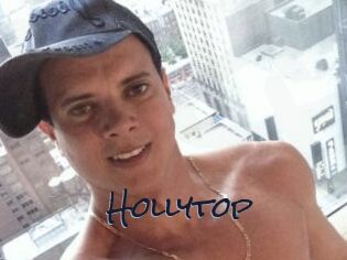 Hollytop