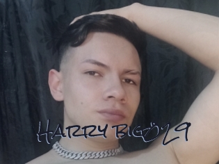 Harry_big029