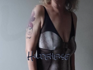 Hildeheise