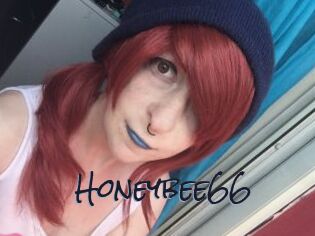 Honeybee66