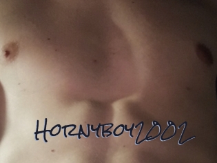 Hornyboy2002