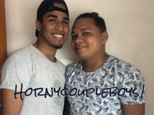 Hornycoupleboys1