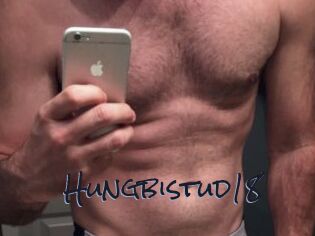 Hungbistud18