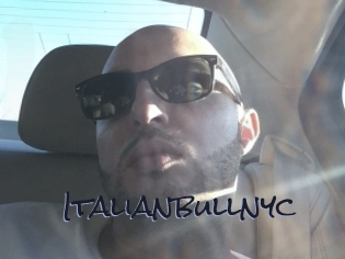 Italianbullnyc
