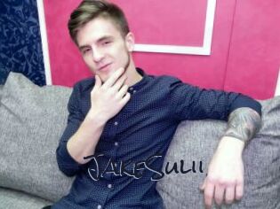 JakeSulii