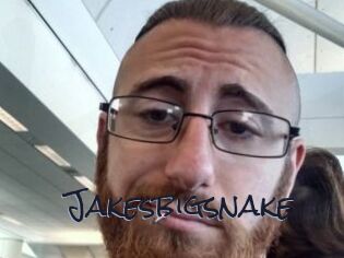 Jakesbigsnake