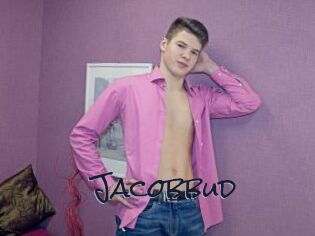 Jacobbud