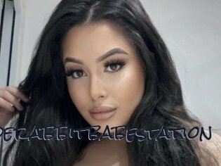 Jaderabbitbabestation