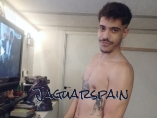 Jaguarspain