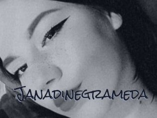 Janadinegrameda