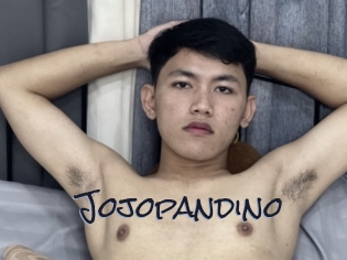 Jojopandino