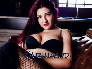 Karinasodi