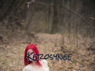 Kerosynee