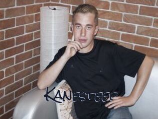 Kanesteep
