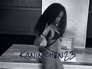 Kaninchen23