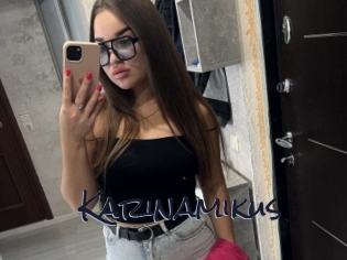 Karinamikus