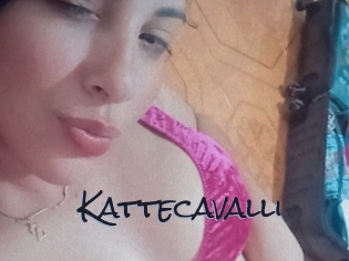 Kattecavalli