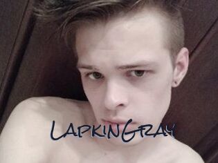 LapkinGray