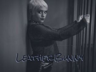 LeatherBunny
