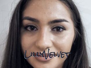 LillyVelvet