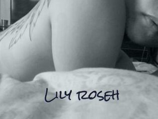 Lily_roseh