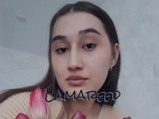 Lamareed