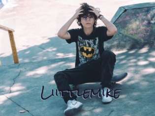 Liittlemike
