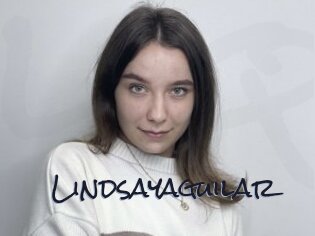 Lindsayaguilar
