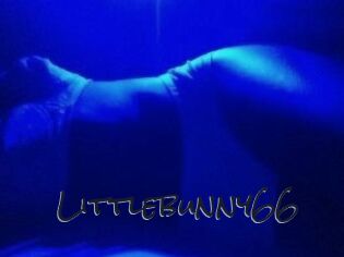 Littlebunny66