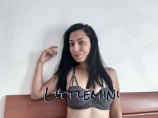 Littlemini