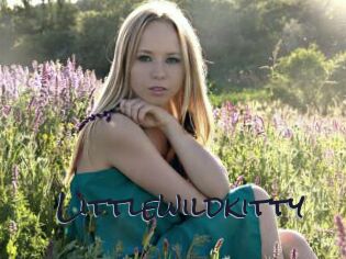 littlewildkitty Liquisexxx