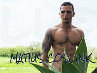 MATIUS_COSLINK