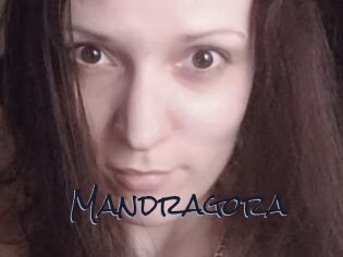 Mandragora