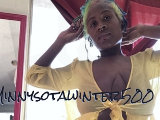 Minnysotawinter500