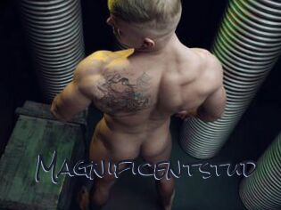Magnificentstud
