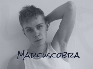 marcuscobra Liquisexxx