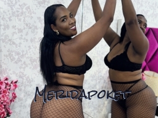 meridapoket Liquisexxx