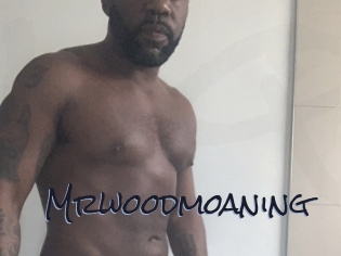 mrwoodmoaning Liquisexxx