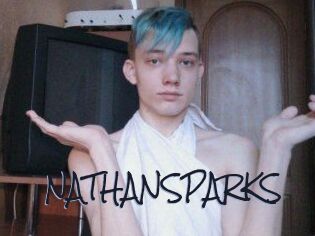 NATHAN_SPARKS
