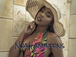 NoaHamiltons
