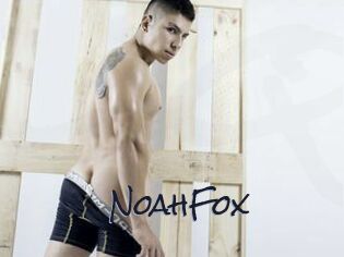 NoahFox