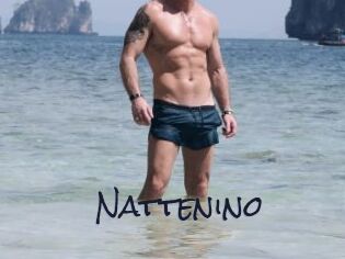 Nattenino
